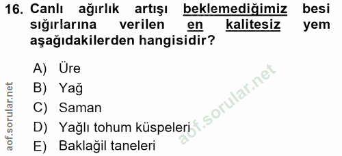 16. soru: Canlı ağırlık artışı beklemediğimiz besi siğırlarına verilen en kalitesiz yem aşağıdakilerden hangisidir? A) Ure B) Y…