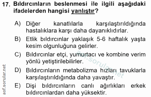 17. soru: Bıldırcınların beslenmesi ile ilgili aşağıdaki ifadelerden hangisi yanlıştır? A) Diğer kanatlılarla karşılaştırıldığı…