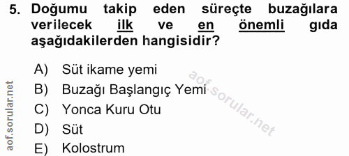 5. soru: Doğumu takip eden süreçte buzağılara verilecek ilk ve en önemli gıda aşağıdakilerden hangisidir? A) Süt ikame yemi B)…