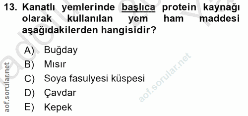 13. soru: Kanatlı yemlerinde başlıca protein kaynağı olarak kullanılan yem ham maddesi aşağıdakilerden hangisidir? A) Buğday MI…
