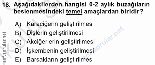 18. soru: Aşağıdakilerden hangisi 0-2 aylık buzağıların beslenmesindeki temel amaçlardan biridir? A) Karaciğerin geliştirilmesi…