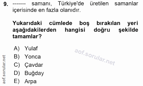 9. soru: samanı, Türkiye'de üretilen samanlar içerisinde en fazla olanıdır. Yukarıdaki cümlede boş bırakılan yeri aşağıdakiler…
