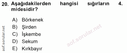 20. soru: Aşağıdakilerden hangisi sığırların 4. midesidir? A) Börkenek B) Şirden C) İşkembe D) Sekum E) Kırkbayır