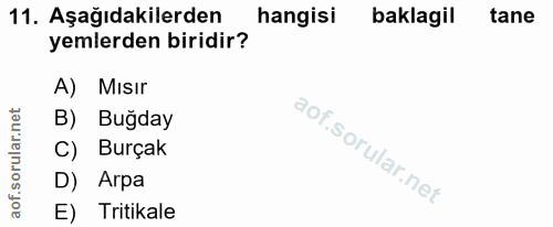 11. soru: Aşağıdakilerden hangisi baklagil tane yemlerden biridir? A) Mısır B) Bugday C) Burçak D) Arpa E) Tritikale
