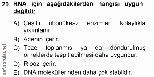 20. soru: RNA için aşağıdakilerden hangisi uygun değildir A) Çeşitli ribonükeaz enzimleri kolaylıkla yıkımlanır. B) Adenin içer…