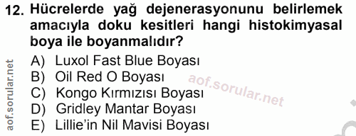 12. soru: Hücrelerde yağ dejenerasyonunu belirlemek amacıyla doku kesitleri hangi histokimyasal boya ile boyanmalıdır? A) Luxol…