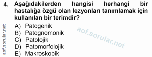 4. soru: Aşağıdakilerden hangisi herhangi bir hastalığa özgü olan lezyonları tanımlamak için kullanılan bir terimdir? A) Patog…