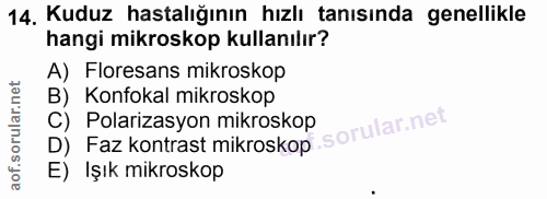 14. soru: Kuduz hastalığının hızlı tanısında genellikle hangi mikroskop kullanılır? A) Floresans mikroskop B) Konfokal mikrosko…
