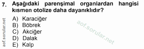 7. soru: Aşağıdaki parenşimal organlardan hangisi kısmen otolize daha dayanıklıdır? A) Karaciğer B) Böbrek C) Akciğer D) Dalak…