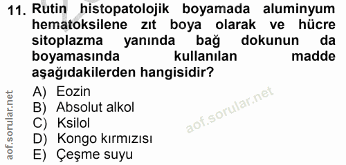 11. soru: Rutin histopatolojik boyamada aluminyum hematoksilene zıt boya olarak ve hücre sitoplazma yanında bağ dokunun da boya…