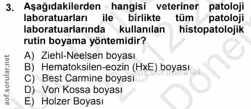 3. soru: Aşağıdakilerden • hangisi veteriner patoloji laboratuarları ile birlikte tüm patoloji laboratuarlarında kullanılan hi…