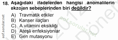 18. soru: Aşağıdaki ifadelerden hangisi anomalilerin ekzojen sebeplerinden biri değildir? A) Travmatik etkiler B) Kanser ilaçla…