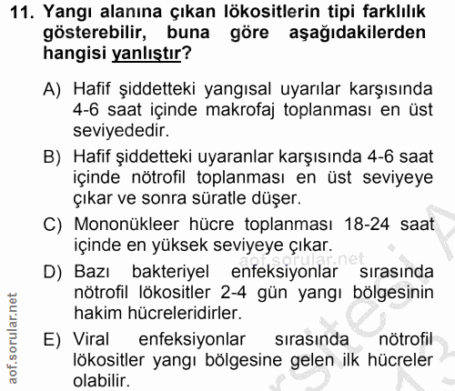 11. soru: Yangı alanına çıkan lökositlerin tipi farklılık gösterebilir, buna göre aşağıdakilerden hangisi yanlıştır? A) Hafif ş…