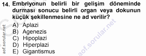 14. soru: Embriyonun belirli bir gelişim döneminde durması sonucu belirli organ veya dokunun küçük şekillenmesine ne ad verilir…