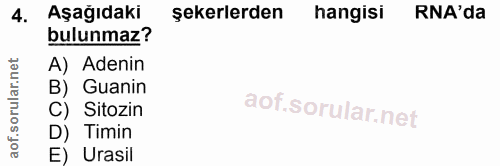4. soru: Aşağıdaki şekerlerden hangisi RA'da bulunmaz? A) Adenin B) Guanin C) Sitozin D) Timin E) Urasil