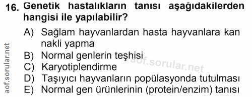16. soru: Genetik hastalıkların tanısı aşağıdakilerden hangisi ile yapılabilir? A) Sağlam hayvanlardan hasta hayvanlara kan nak…