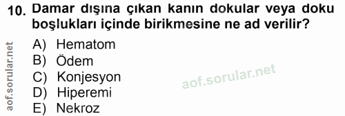 10. soru: Damar dışına çıkan kanın dokular veya doku boşlukları içinde birikmesine ne ad verilir? A) Hematom B) Odem C) Konjesy…