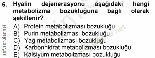 6. soru: Hyalin dejenerasyonu aşağıdaki hangi metabolizma bozukluğuna bağlı olarak şekillenir? A) Protein metabolizması bozukl…