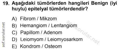 19. soru: Aşağıdaki tümörlerden hangileri Benign (iyi huylu) epitelyal tümörlerdendir? A) Fibrom / Mikzom B) Hemangiom / Lenfan…