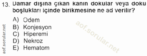13. soru: Damar dışına çıkan kanın dokular veya doku boşlukları içinde birikmesine ne ad verilir? A) Odem B) Konjesyon C) Hiper…