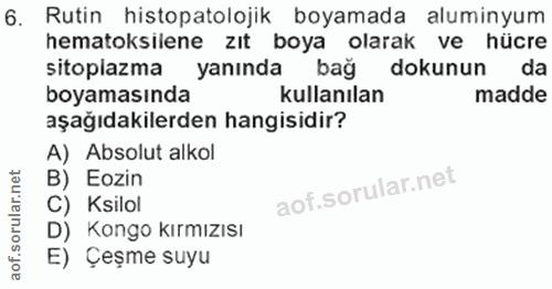 6. soru: Rutin histopatolojik boyamada aluminyum hematoksilene zıt boya olarak ve hücre sitoplazma yanında bağ dokunun da boya…