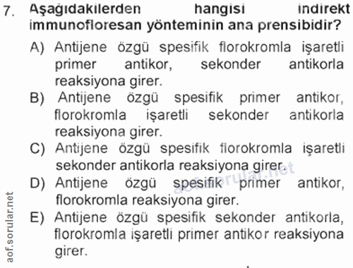 7. soru: Aşagıdakılerden hangisı indirekt immunofloresan yönteminin ana prensibidir? A) Antijene özgü spesifik florokromla işa…
