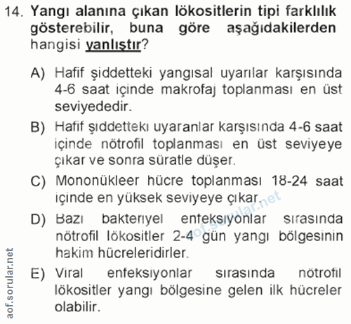 14. soru: Yangı alanına çıkan lökositlerin tipi farklılık gösterebilir, buna göre aşağıdakilerden hangisi yanlıştır? A) Hafif ş…
