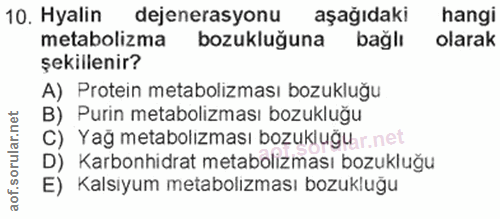 10. soru: Hyalin dejenerasyonu aşağıdaki hangi metabolizma bozukluğuna bağlı olarak şekillenir? A) Protein metabolizması bozukl…