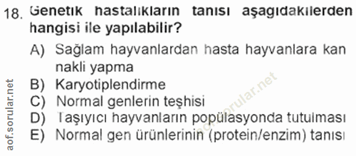 18. soru: Genetık nastalıkların tanısi aşagıdakılerden hangisi ile yapılabilir? A) Saglam hayvanlardan hasta hayvanlara kan nak…
