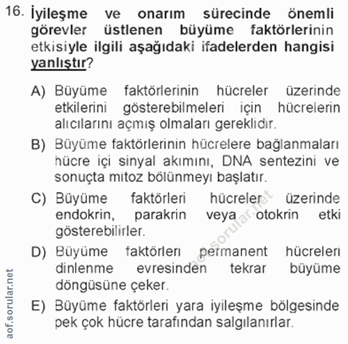 16. soru: İyileşme ve onarım sürecinde önemli görevler üstlenen büyüme faktörlerinin etkisiyle ilgili aşağıdaki ifadelerden han…