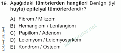 19. soru: Aşağıdaki tümörlerden hangileri Benign (iyi huylu) epitelyal tümörlerdendir? A) Fibrom / Mikzom B) Hemangiom / Lenfan…