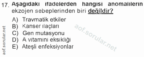 17. soru: Aşagıdakı ıadelerden hangısı anomalılerın ekzojen sebeplerinden biri değildir? A) Travmatik etkiler B) Kanser ilaçlar…