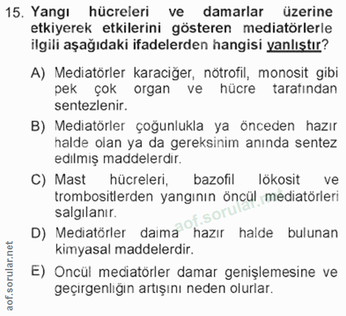 15. soru: Yangı hücreleri ve damarlar üzerine etkiyerek etkilerini gösteren mediatörlerle ilgili aşağıdaki ifadelerden hangisi…