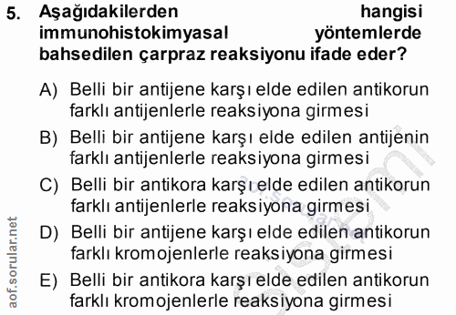 5. soru: Aşağıdakilerden hangisi immunohistokimyasal yöntemlerde bahsedilen çarpraz reaksiyonu ifade eder? A) Belli bir antije…
