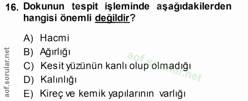 16. soru: Dokunun tespit işleminde aşağıdakilerden hangisi önemli değildir? А) Насті B) Ağırlığı C) Kesit yüzünün kanlı olup ol…