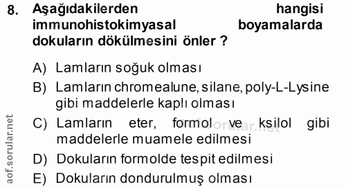 8. soru: Aşağıdakilerden hangisi immunohistokimyasal boyamalarda dokuların dökülmesini önler ? A) Lamların soğuk olması B) Lam…