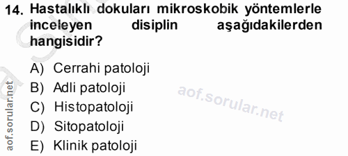 14. soru: Hastalıklı dokuları mikroskobik yöntemlerle inceleyen disiplin aşağıdakilerden hangisidir? A) Cerrahi patoloji B) Adl…
