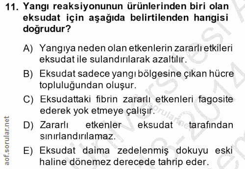 11. soru: Yangı reaksiyonunun ürünlerinden biri olan eksudat için aşağıda belirtilenden hangisi doğrudur? A) Yangıya neden olan…