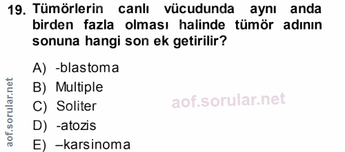 19. soru: Tümörlerin canlı vücudunda aynı anda birden fazla olması halinde tümör adının sonuna hangi son ek getirilir? A) -blas…