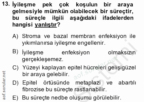13. soru: İyileşme pek çok koşulun bir araya gelmesiyle mümkün olabilecek bir süreçtir, bu süreçle ilgili aşağıdaki ifadelerden…