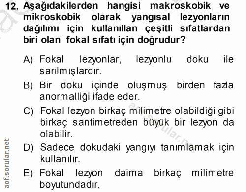 12. soru: Aşağıdakilerden hangisi makroskobik ve mikroskobik olarak yangısal lezyonların dağılımı için kullanıllan çeşitli sıfa…