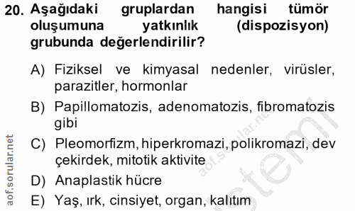 20. soru: Aşağıdaki gruplardan hangisi tümör oluşumuna yatkınlık (dispozisyon) grubunda değerlendirilir? A) Fiziksel| ve kimyas…