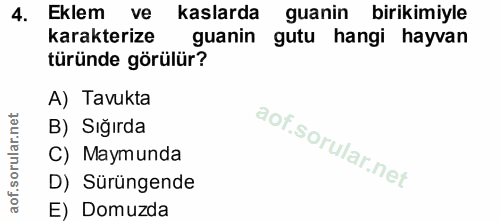 4. soru: Eklem ve kaslarda guanin birikimiyle karakterize guanin gutu hangi hayvan türünde görülür? A) Tavukta B) Sığırda C) M…