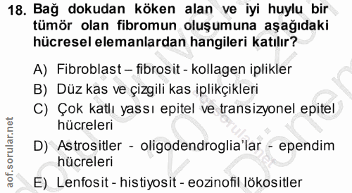 18. soru: Bağ dokudan köken alan ve iyi huylu bir tümör olan fibromun oluşumuna aşağıdaki hücresel elemanlardan hangileri katıl…