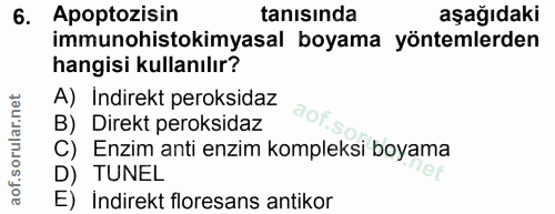 6. soru: Apoptozisin tanısında aşağıdaki immunohistokimyasal boyama yöntemlerden hangisi kullanılır? A) Indirekt peroksidaz B)…