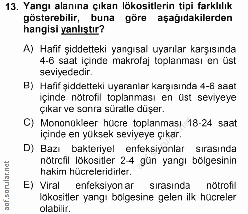 13. soru: Yangı alanına çıkan lökositlerin tipi farklılık gösterebilir, buna göre aşağıdakilerden hangisi yanlıştır? A) Hafif ş…