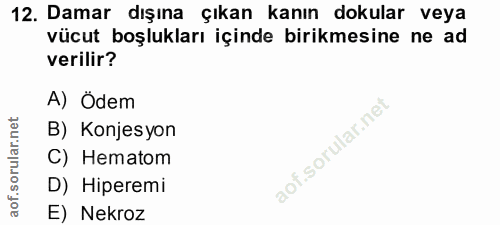 12. soru: Damar dışına çıkan kanın dokular veya vücut boşlukları içinde birikmesine ne ad verilir? A) Ödem B) Konjesyon C) Hema…