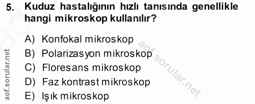 5. soru: Kuduz hastalığının hızlı tanısında genellikle hangi mikroskop kullanılır? A) Konfokal mikroskop B) Polarizasyon mikro…