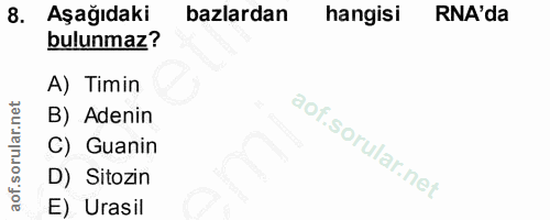 8. soru: Aşağıdaki bazlardan hangisi RNA'da bulunmaz? A) Timin B) Adenin C) Guanin D) Sitozin E) Urasil