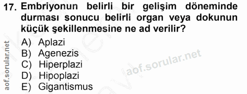 17. soru: Embriyonun belirli bir gelişim döneminde durması sonucu belirli organ veya dokunun küçük şekillenmesine ne ad verilir…